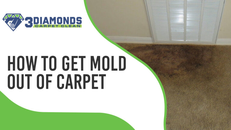 How to get mold out of carpet
